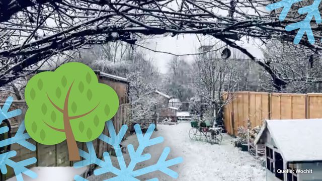 Garten winterfest machen: wie und ab wann?